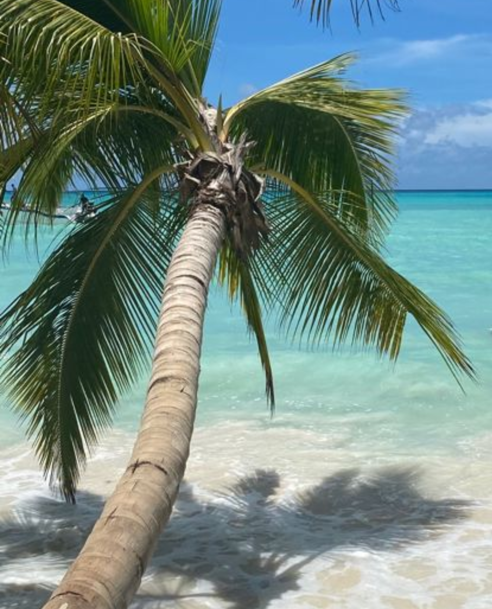 PUNTA CANA, REPUBLICA DOMINICANA